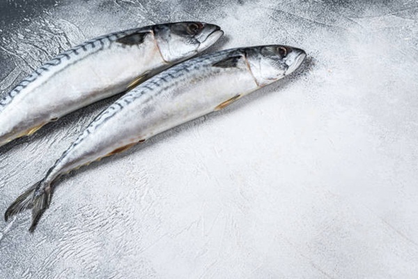 Raw fish Mackerel on a kitchen table. White background. Top view. Copy space.