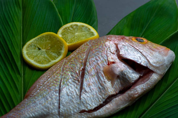 Fresh raw fish with green leaf and lemon on dark background