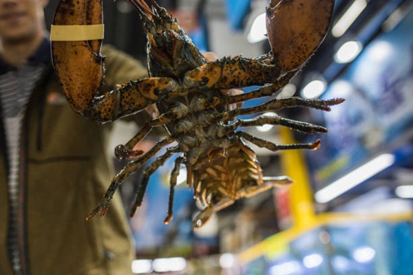 Unrecognizable Fish vendor holding lobster at fish market place, low angle view